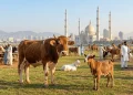 پاکستان میں عید الاضحیٰ 2026