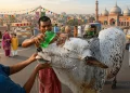 پاکستان میں عید الاضحی کی چھٹیاں