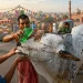 پاکستان میں عید الاضحی کی چھٹیاں
