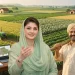 پنجاب فری لینڈ اسکیم