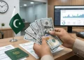 پاکستان میں ڈالر پیمنٹ حاصل کرنے کا طریقہ