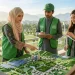 کلائمیٹ لیڈرشپ انٹرن شپ پروگرام