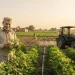 اپنا کھیت اپنا روزگار اسکیم