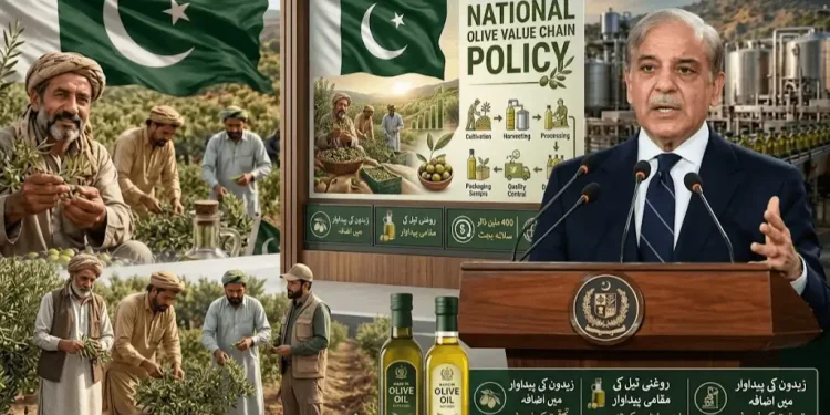 نیشنل اولیو ویلیو چین پالیسی