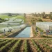 پاکستان اور مصر زرعی تعاون