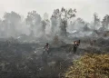 انڈونیشیا کی آگ کے باعث ملائیشیا میں فضائی آلودگی شدید، کوالا لمپور سمیت کئی ریاستوں میں تعلیمی ادارے بند