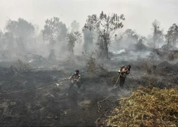 انڈونیشیا کی آگ کے باعث ملائیشیا میں فضائی آلودگی شدید، کوالا لمپور سمیت کئی ریاستوں میں تعلیمی ادارے بند
