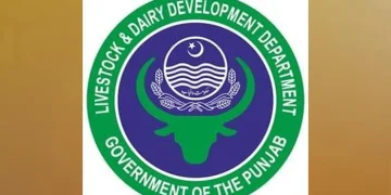 محکمہ لائیو اسٹاک پنجاب میں 101 ملازمتوں کا اعلان، ویٹرنری اور سینئر آفیسرز کی بھرتیوں کا پورٹل 