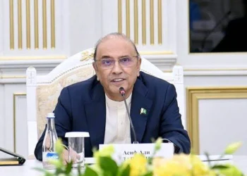 برادرانہ روابط صدر آصف علی زرداری کا پاک ترکیہ تعلقات کے فروغ پر زور